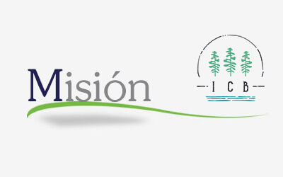 ICB Misión